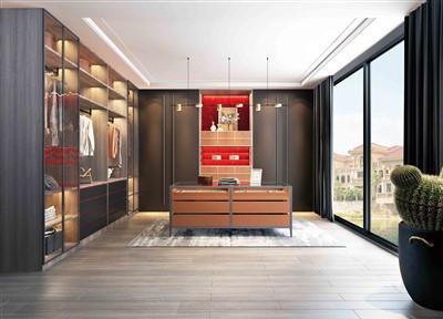 Élégant dressing de luxe